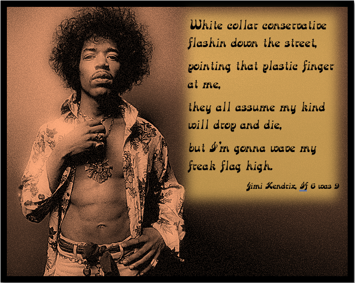 Jimi Hendrix Let your freak flag fly Blank Meme Template