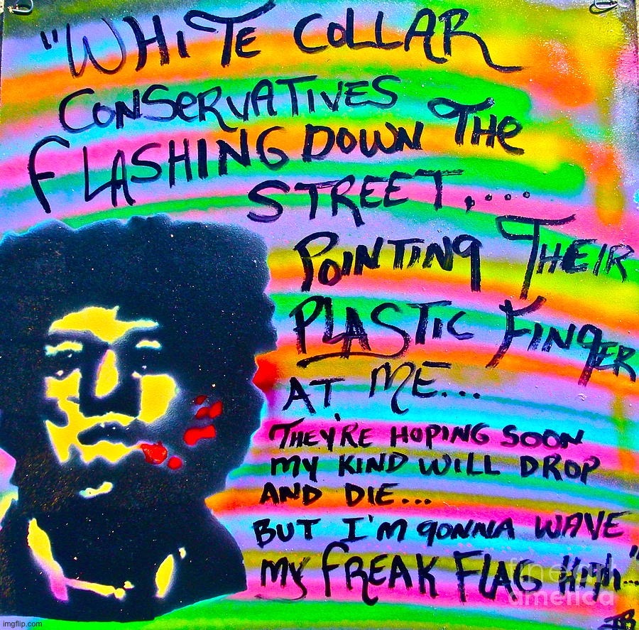 Jimi Hendrix Let your freak flag fly | image tagged in jimi hendrix let your freak flag fly | made w/ Imgflip meme maker