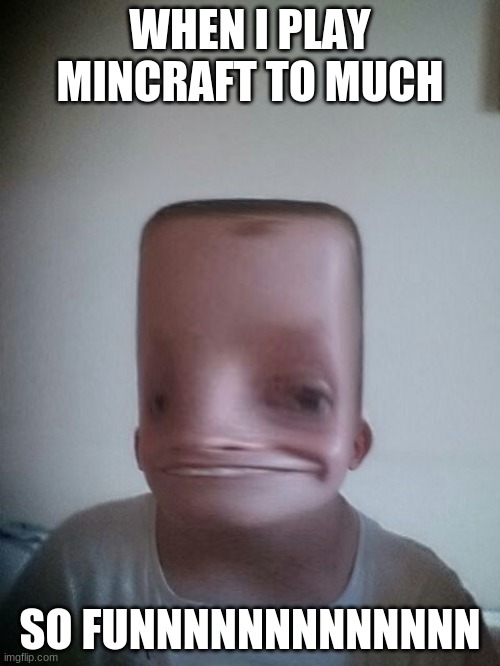 When Your Favourite game becomes Mincraft | WHEN I PLAY MINCRAFT TO MUCH; SO FUNNNNNNNNNNNNN | image tagged in when your favourite game becomes mincraft | made w/ Imgflip meme maker