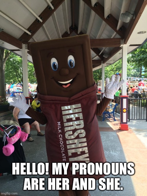 Mr. Hershey's | HELLO! MY PRONOUNS ARE HER AND SHE. | image tagged in mr hershey's | made w/ Imgflip meme maker