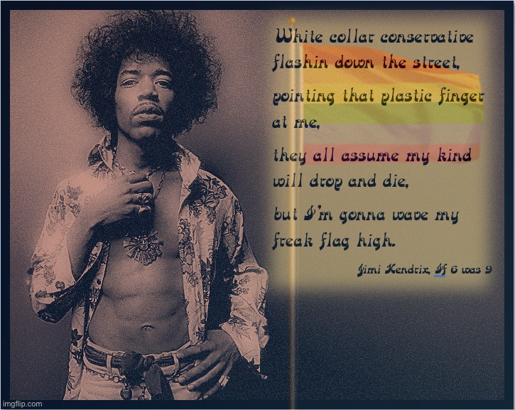 High Quality Jimi Hendrix LGBTQ freak flag Blank Meme Template