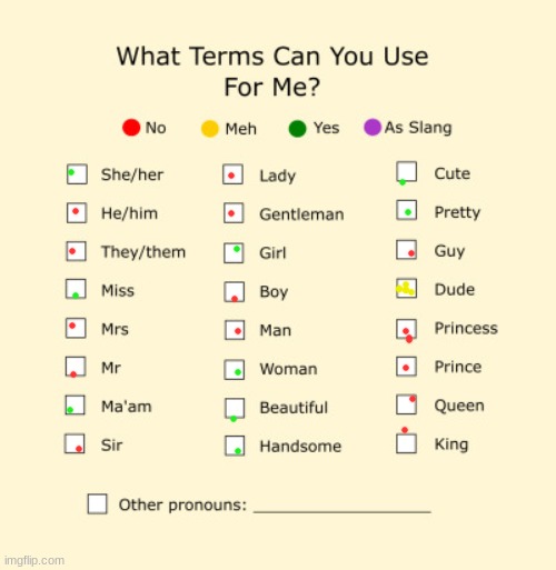 Pronouns Sheet | image tagged in pronouns sheet | made w/ Imgflip meme maker