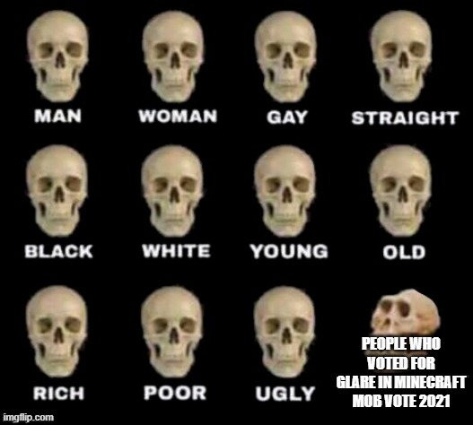 glare is just useless | PEOPLE WHO VOTED FOR GLARE IN MINECRAFT MOB VOTE 2021 | image tagged in idiot skull | made w/ Imgflip meme maker