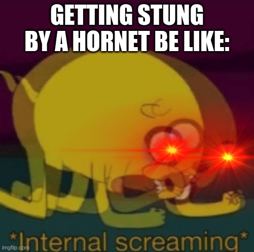 EEEEEEEEEEEEEEEEEEEEEEEEE | GETTING STUNG BY A HORNET BE LIKE: | image tagged in jake the dog internal screaming,pain | made w/ Imgflip meme maker