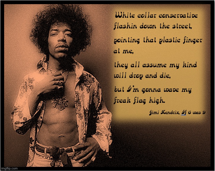 Jimi Hendrix Let your freak flag fly | image tagged in jimi hendrix let your freak flag fly | made w/ Imgflip meme maker