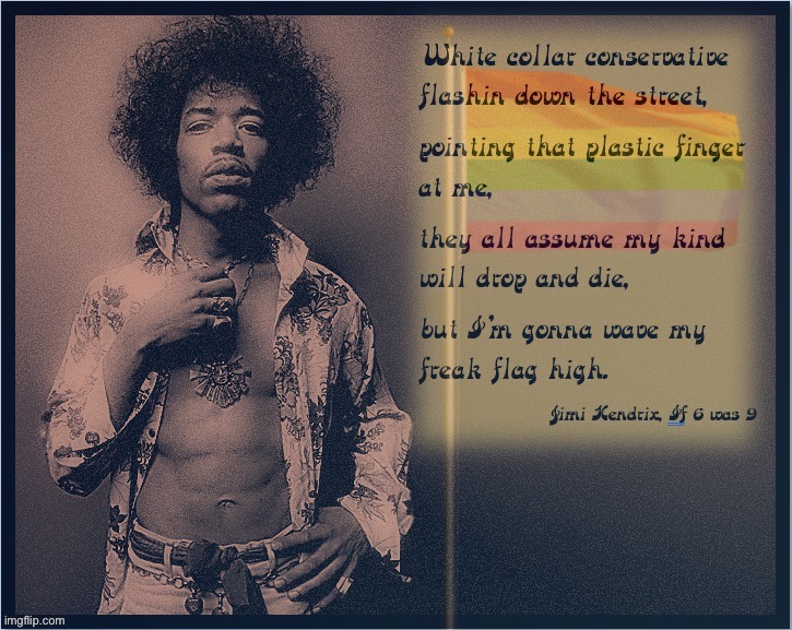 Jimi Hendrix LGBTQ freak flag | image tagged in jimi hendrix lgbtq freak flag | made w/ Imgflip meme maker