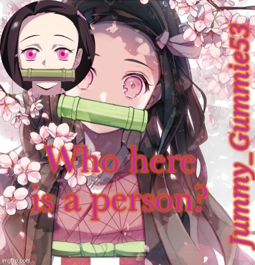 Random Questions #21 | Who here is a person? | image tagged in jummy's nezuko temp | made w/ Imgflip meme maker