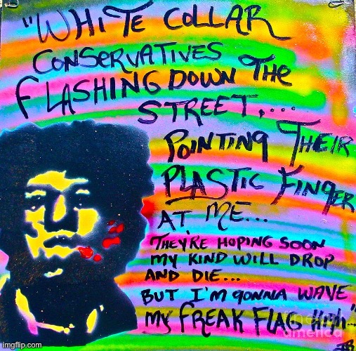 Jimi Hendrix Let your freak flag fly | image tagged in jimi hendrix let your freak flag fly | made w/ Imgflip meme maker