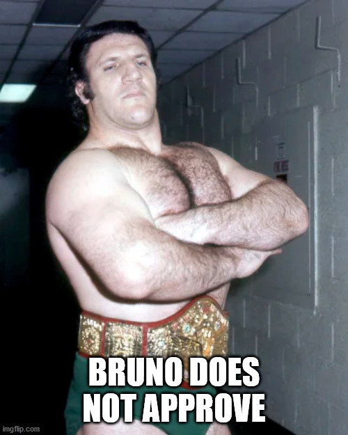 Bruno Does Not Approve | BRUNO DOES NOT APPROVE | image tagged in bruno sammartino,bruno,sammartino,wrestling,brunodoesnotapprove | made w/ Imgflip meme maker