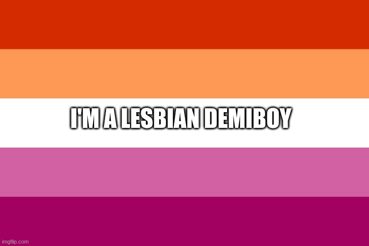 just posted this in politics >:D | I'M A LESBIAN DEMIBOY | image tagged in lesbian flag | made w/ Imgflip meme maker