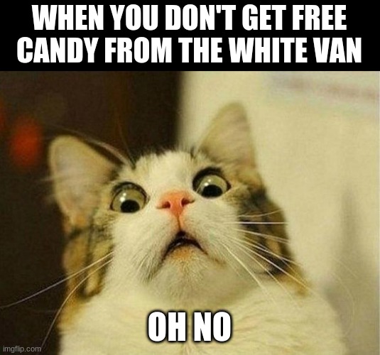 oh no | WHEN YOU DON'T GET FREE CANDY FROM THE WHITE VAN; OH NO | image tagged in memes,scared cat | made w/ Imgflip meme maker
