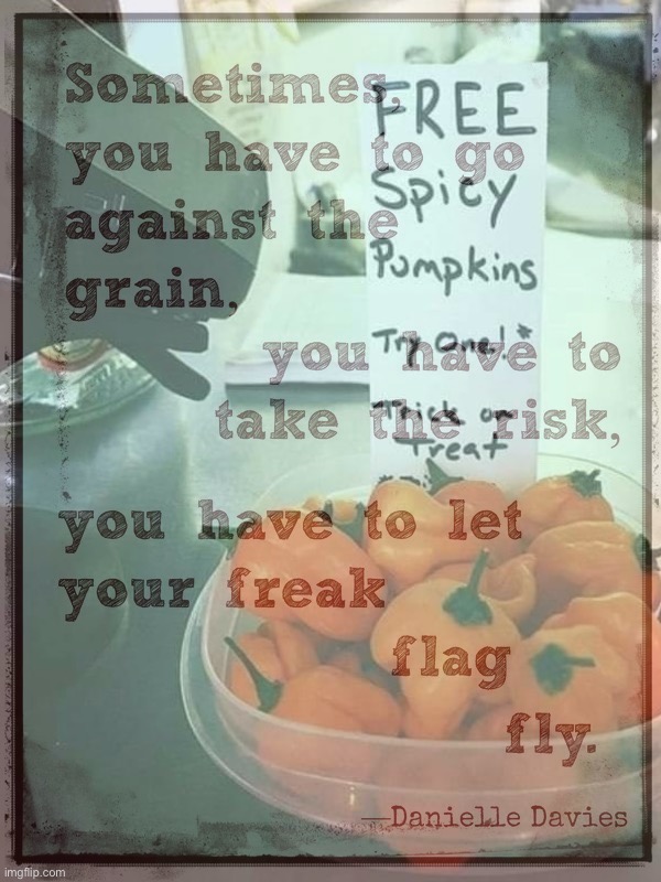 Free spicy pumpkins Blank Meme Template