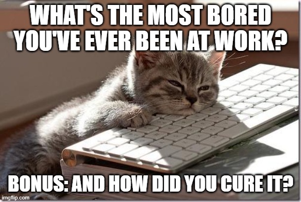 Bored Keyboard Cat | WHAT'S THE MOST BORED YOU'VE EVER BEEN AT WORK? BONUS: AND HOW DID YOU CURE IT? | image tagged in bored keyboard cat | made w/ Imgflip meme maker