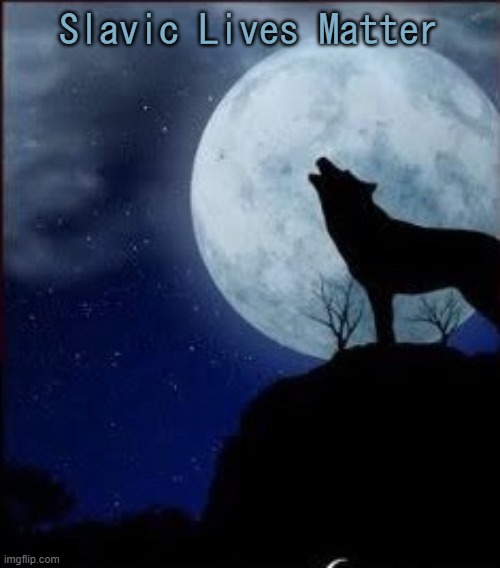 Lone wolf | Slavic Lives Matter | image tagged in lone wolf,slavic lives matter | made w/ Imgflip meme maker
