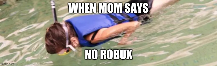 please robux | WHEN MOM SAYS; NO ROBUX | image tagged in meme,funny | made w/ Imgflip meme maker