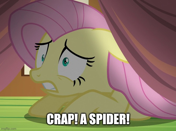 CRAP! A SPIDER! | made w/ Imgflip meme maker