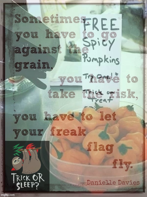 Free spicy pumpkins | image tagged in free spicy pumpkins | made w/ Imgflip meme maker