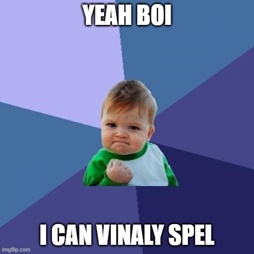 Success Kid Meme | YEAH BOI; I CAN VINALY SPEL | image tagged in memes,success kid | made w/ Imgflip meme maker