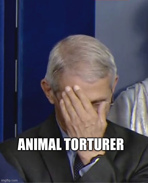 Dr Fauci | ANIMAL TORTURER | image tagged in dr fauci | made w/ Imgflip meme maker