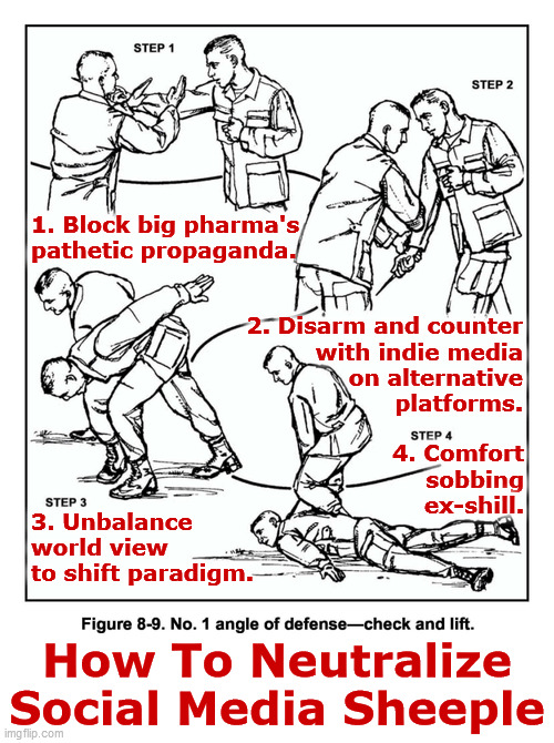 How To Neutralize Social Media Sheeple | 1. Block big pharma's
pathetic propaganda. 2. Disarm and counter
with indie media
on alternative
platforms. 4. Comfort
sobbing
ex-shill. 3. Unbalance
world view
to shift paradigm. How To Neutralize Social Media Sheeple | image tagged in propaganda,big pharma,social media,shill,sheeple,combat | made w/ Imgflip meme maker