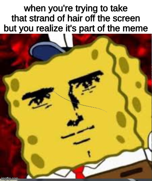 when you're trying to take that strand of hair off the screen but you realize it's part of the meme | image tagged in memes,funny,fun,funny memes,imgflip,lol | made w/ Imgflip meme maker