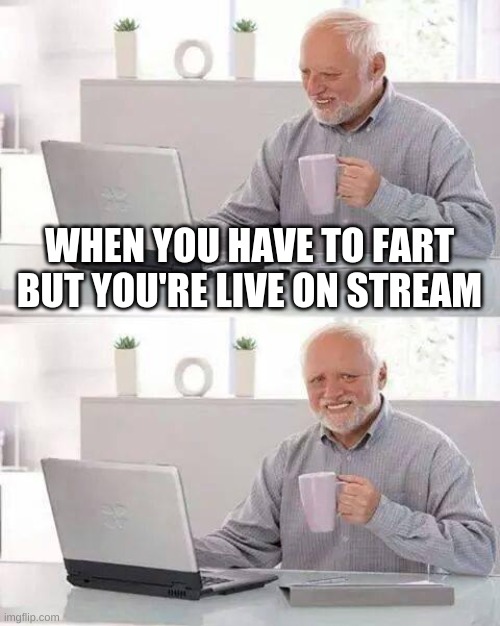 The suffering... is to be regarded seriously. | WHEN YOU HAVE TO FART BUT YOU'RE LIVE ON STREAM | image tagged in memes,hide the pain harold | made w/ Imgflip meme maker