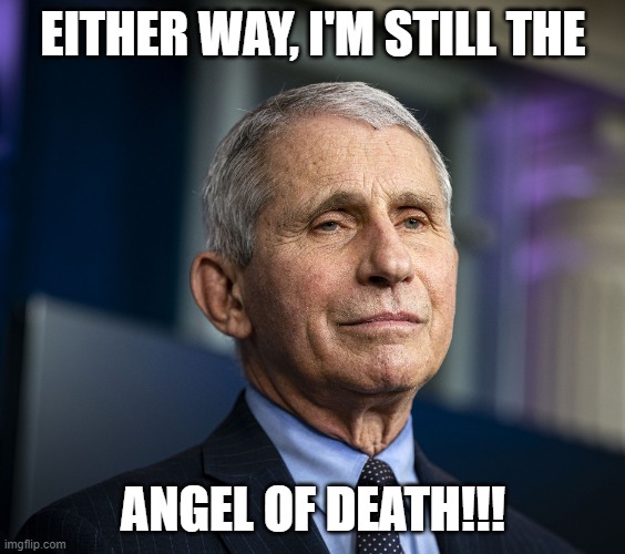 Angel of Death!!! | EITHER WAY, I'M STILL THE ANGEL OF DEATH!!! | image tagged in angel of death | made w/ Imgflip meme maker