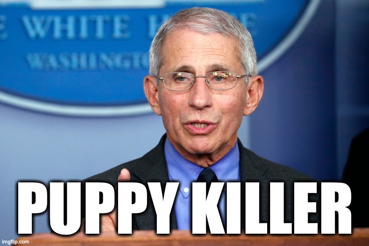 Fauchi Lecture | PUPPY KILLER | image tagged in fauchi lecture,CNNmemes | made w/ Imgflip meme maker