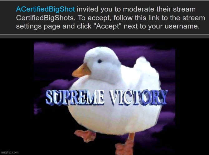 Did- did you get the wrong person? | image tagged in supreme victory duck | made w/ Imgflip meme maker