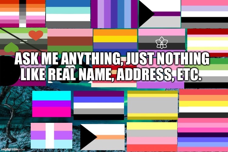 ASK ME ANYTHING, JUST NOTHING LIKE REAL NAME, ADDRESS, ETC. | made w/ Imgflip meme maker