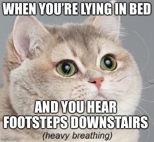 Heavy Breathing Cat | WHEN YOU’RE LYING IN BED; AND YOU HEAR FOOTSTEPS DOWNSTAIRS | image tagged in memes,heavy breathing cat | made w/ Imgflip meme maker