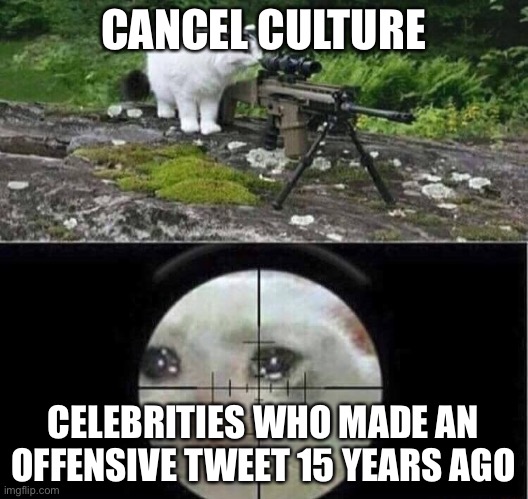 Sniper cat | CANCEL CULTURE; CELEBRITIES WHO MADE AN OFFENSIVE TWEET 15 YEARS AGO | image tagged in sniper cat | made w/ Imgflip meme maker