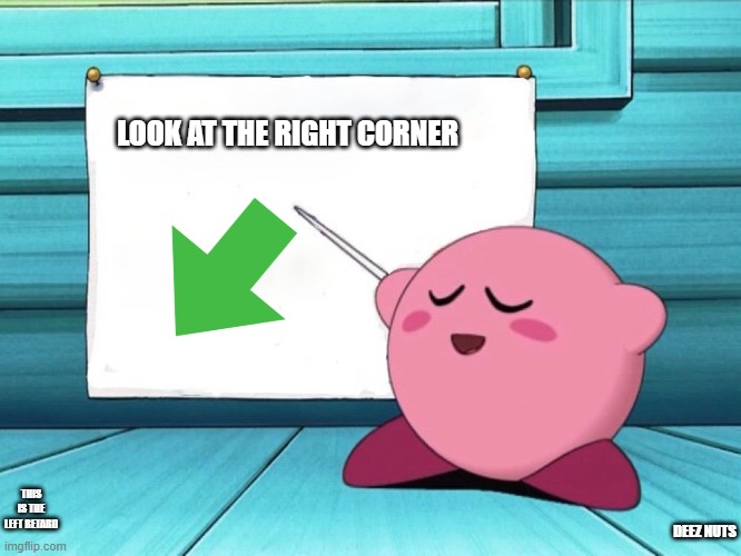 kirby sign | LOOK AT THE RIGHT CORNER; THIS IS THE LEFT RETARD; DEEZ NUTS | image tagged in kirby sign | made w/ Imgflip meme maker