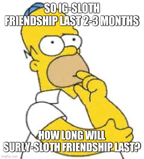 May end after IG is out  of office | SO IG-SLOTH FRIENDSHIP LAST 2-3 MONTHS; HOW LONG WILL SURLY-SLOTH FRIENDSHIP LAST? | image tagged in homer simpson hmmmm | made w/ Imgflip meme maker