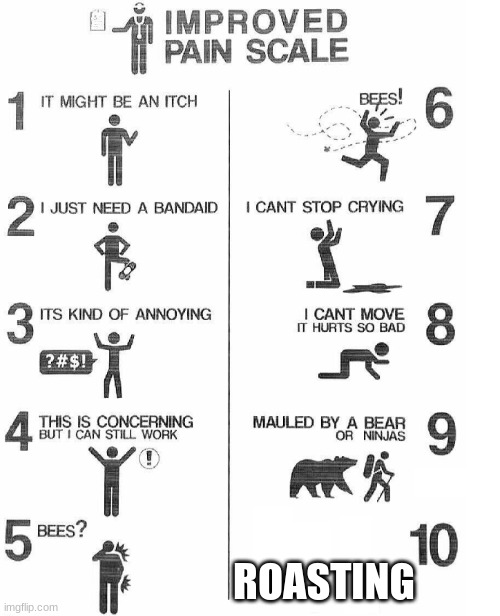 Improved Pain Scale | ROASTING | image tagged in improved pain scale | made w/ Imgflip meme maker