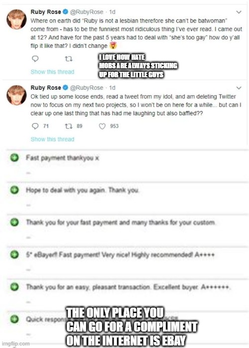 People pretending to be nice are often jerks |  I LOVE HOW HATE MOBS ARE ALWAYS STICKING UP FOR THE LITTLE GUYS; THE ONLY PLACE YOU CAN GO FOR A COMPLIMENT ON THE INTERNET IS EBAY | image tagged in ruby rose,compliments,funny,hypocrisy,ebay | made w/ Imgflip meme maker