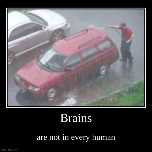 Brains | are not in every human | image tagged in funny,demotivationals | made w/ Imgflip demotivational maker