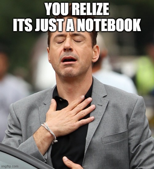 relieved rdj | YOU RELIZE ITS JUST A NOTEBOOK | image tagged in relieved rdj | made w/ Imgflip meme maker
