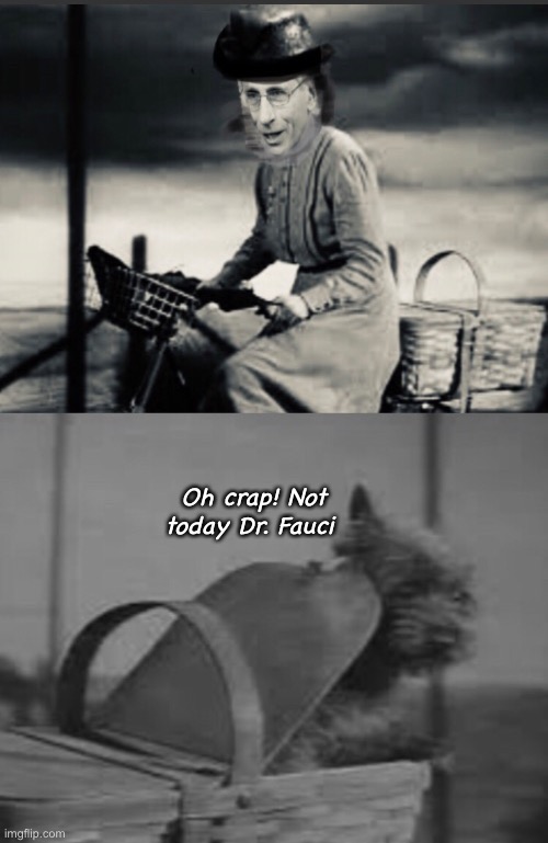 Run Toto, run | Oh crap! Not today Dr. Fauci | image tagged in politics lol,memes | made w/ Imgflip meme maker