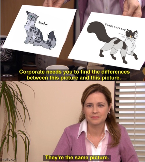 They're The Same Picture | image tagged in memes,they're the same picture,warriors,warrior cats,warrior cats meme | made w/ Imgflip meme maker
