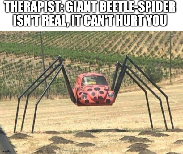 Giant beetle-spider isn't real, it can't hurt you | THERAPIST: GIANT BEETLE-SPIDER ISN'T REAL, IT CAN'T HURT YOU | image tagged in isn't real,can't hurt you,therapist,giant beetle-spider | made w/ Imgflip meme maker