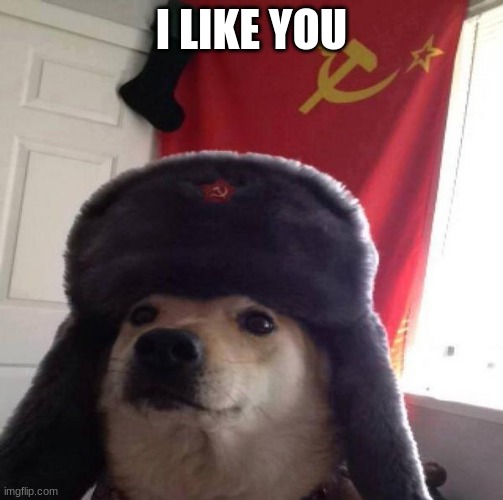 Russian Doge | I LIKE YOU | image tagged in russian doge | made w/ Imgflip meme maker