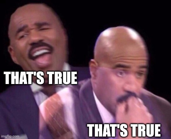 Steve Harvey Laughing Serious | THAT'S TRUE THAT'S TRUE | image tagged in steve harvey laughing serious | made w/ Imgflip meme maker