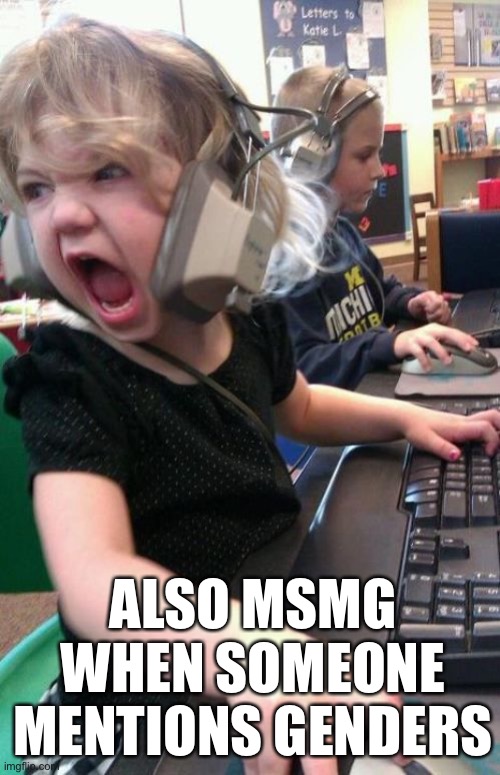 Angry Gamer Girl | ALSO MSMG WHEN SOMEONE MENTIONS GENDERS | image tagged in angry gamer girl | made w/ Imgflip meme maker