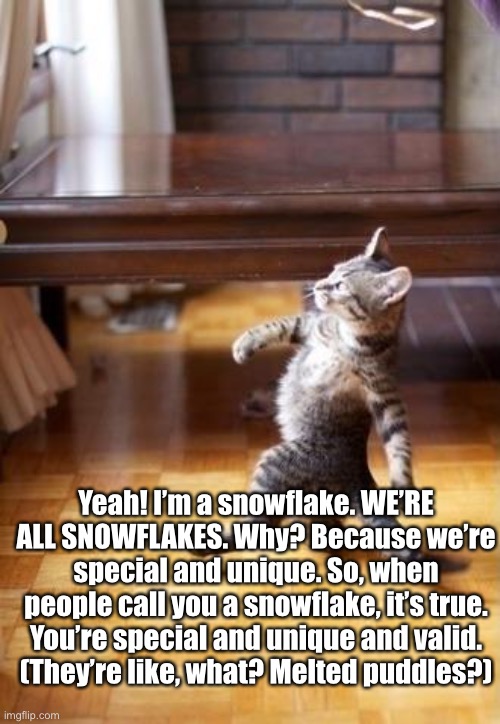 I’m proud to be a snowflake! | Yeah! I’m a snowflake. WE’RE ALL SNOWFLAKES. Why? Because we’re special and unique. So, when people call you a snowflake, it’s true. You’re special and unique and valid.
(They’re like, what? Melted puddles?) | image tagged in memes,cool cat stroll | made w/ Imgflip meme maker