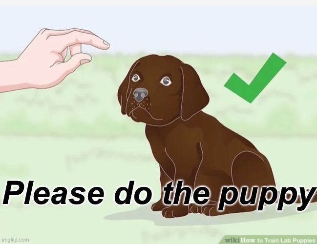 Please do the puppy | image tagged in please do the puppy | made w/ Imgflip meme maker