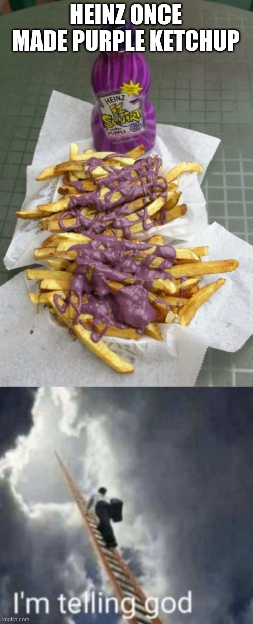 Purple ketchup | HEINZ ONCE MADE PURPLE KETCHUP | image tagged in memes | made w/ Imgflip meme maker