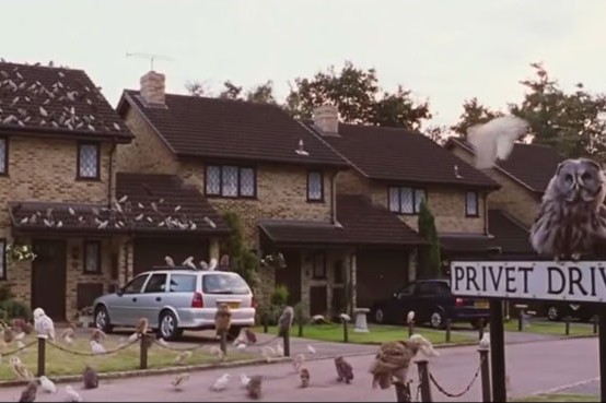 Owls on Privet Drive Blank Meme Template