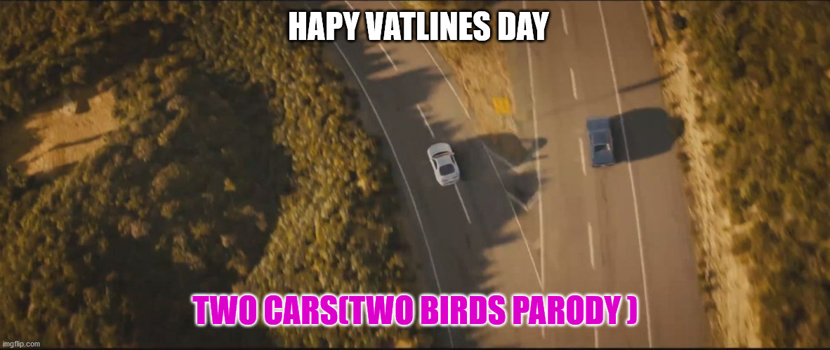fast and furious 7 final scene | HAPY VATLINES DAY TWO CARS(TWO BIRDS PARODY ) | image tagged in fast and furious 7 final scene | made w/ Imgflip meme maker