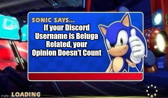 they are everywhere | If your Discord Username is Beluga Related, your Opinion Doesn't Count | image tagged in sonic says,beluga,discord | made w/ Imgflip meme maker